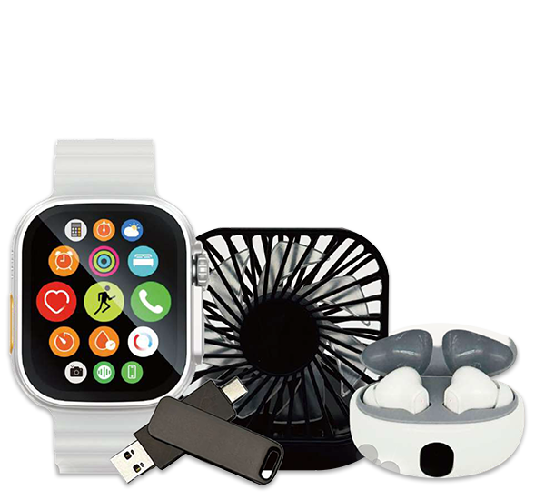 Electronic Item